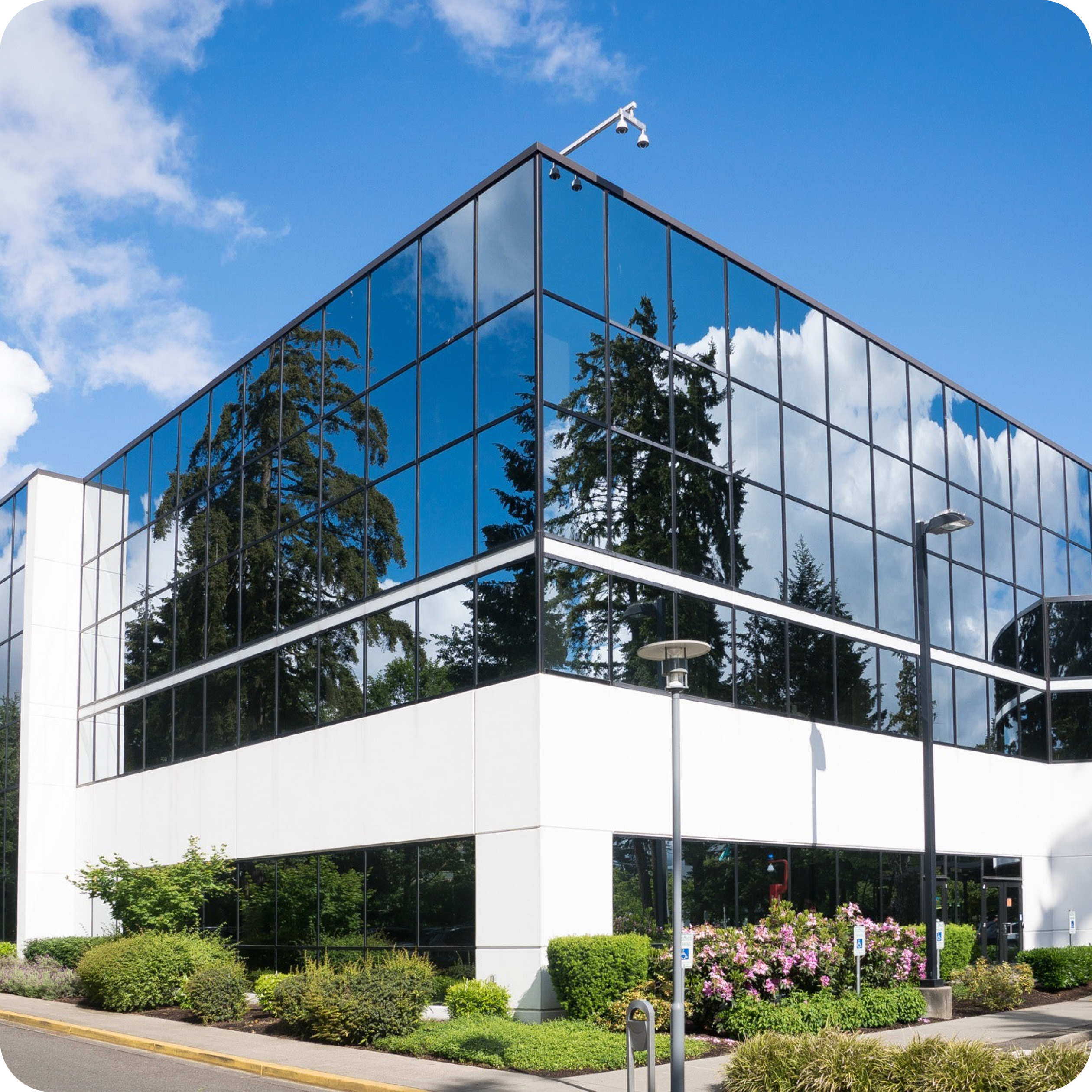 Physician with patient